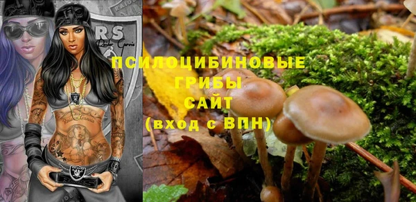 a pvp Арсеньев